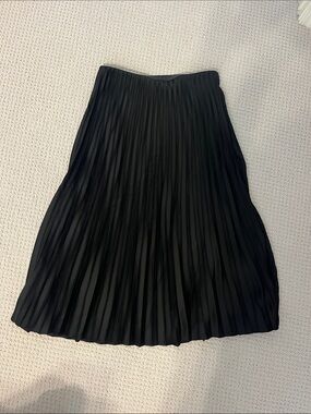JCREW Gwyneth Pleated Skirt